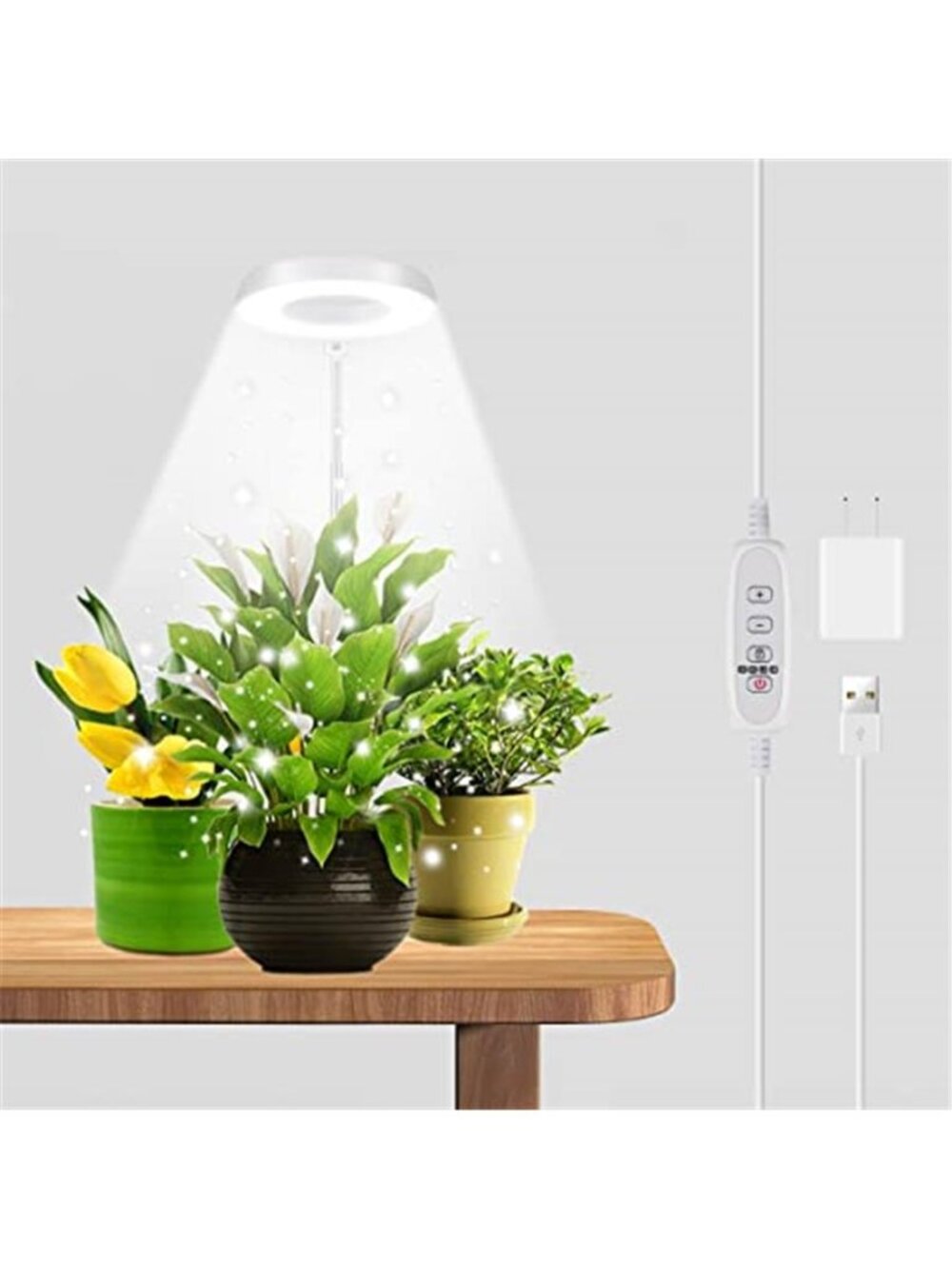 Full Spectrum LED Grow Light Indoor Plants Succulents Bonsai Adjustable Timer